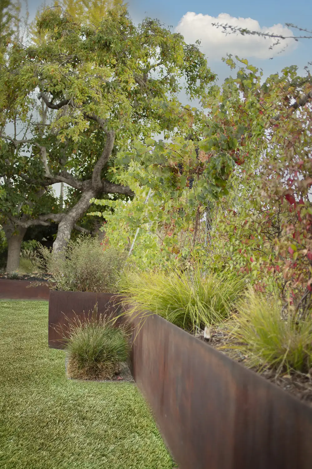 Kommareddi Residence by Valeria Mesples