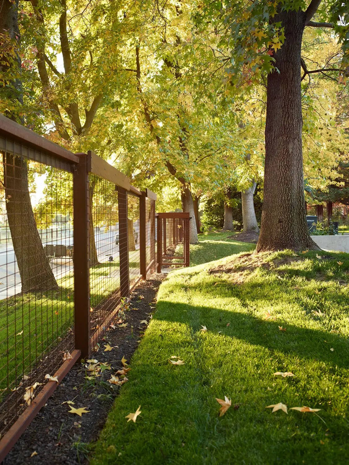 Pool Pavilion by Valeria Mesples Architecture