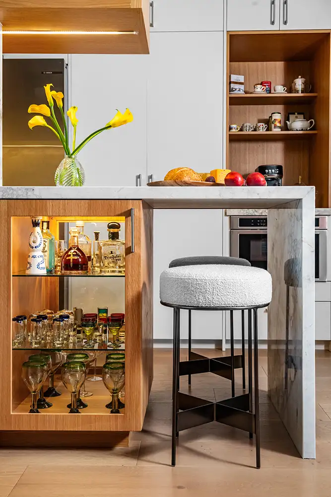 Reed Condo by Valeria Mesples Architecture